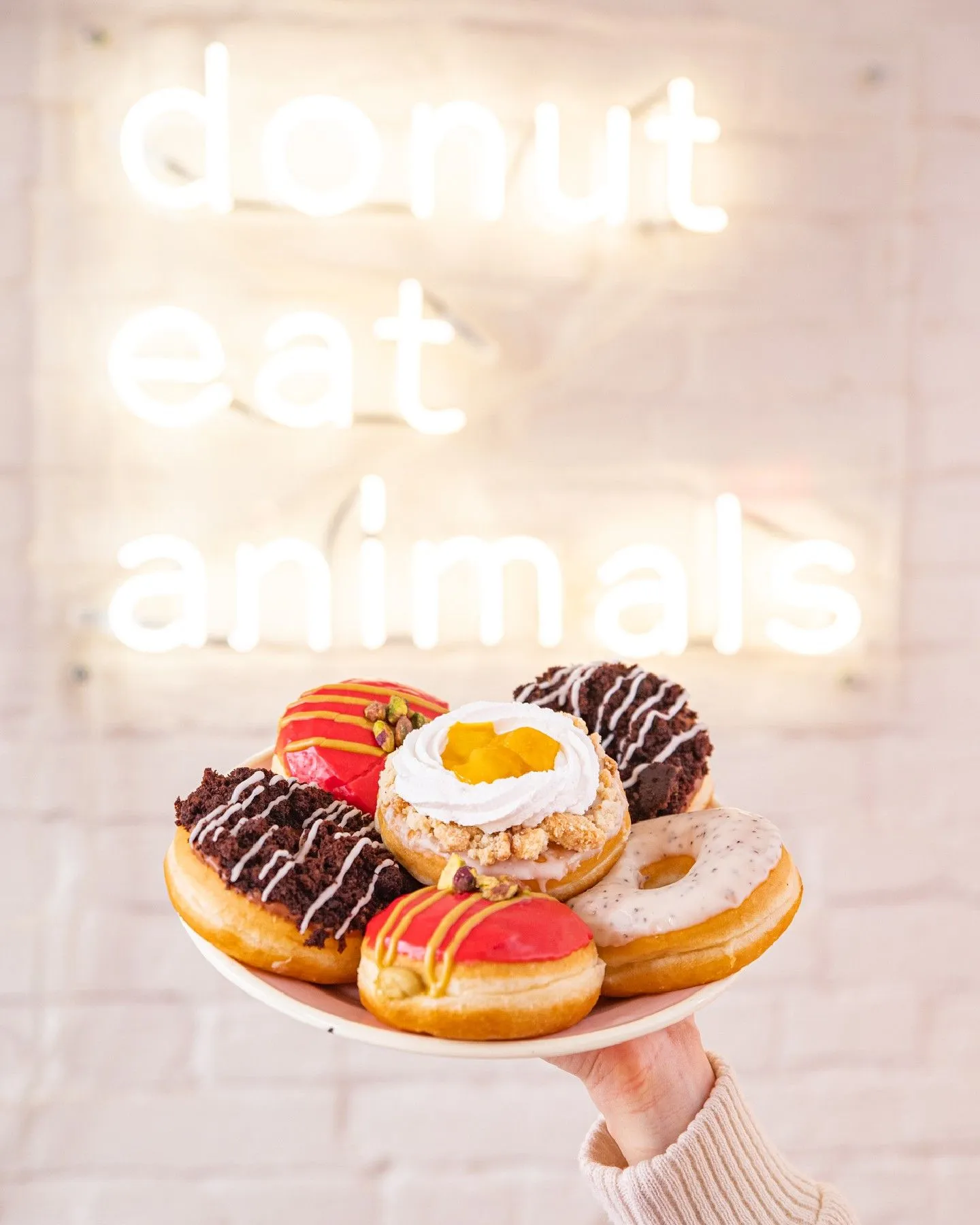 Ein Teller voll Brammibal Donut mit verschiedenen Dopings vor einem Leuchtschild
